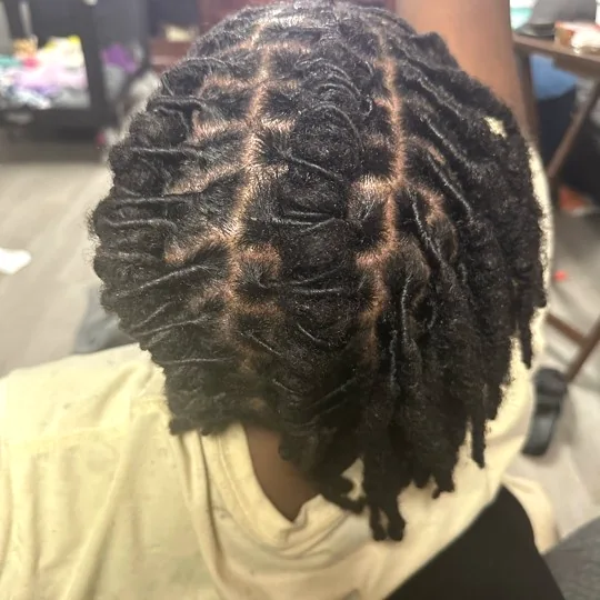 Locs & Microlocs example by Oshea Springs
